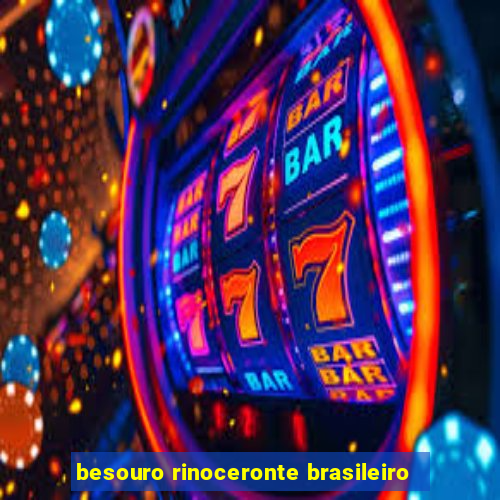 besouro rinoceronte brasileiro